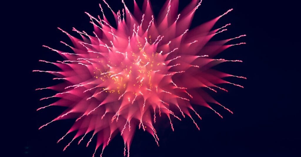 A stunning pink firework explodes vividly against a dark night sky.